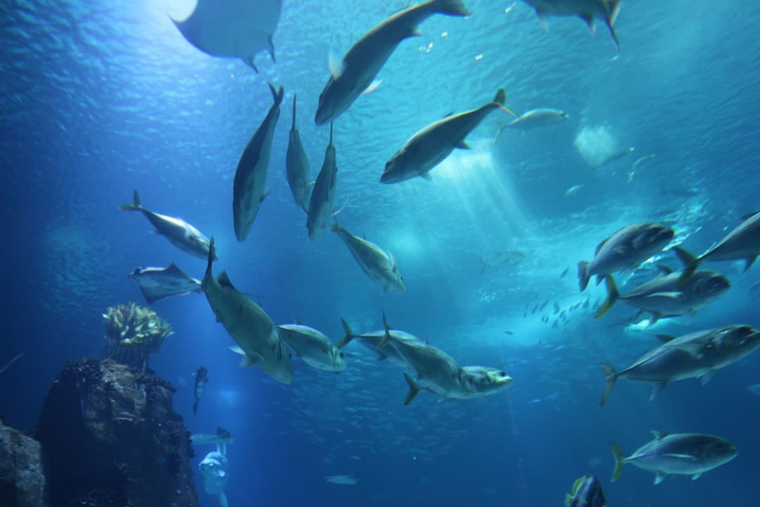 Blog Header Image
